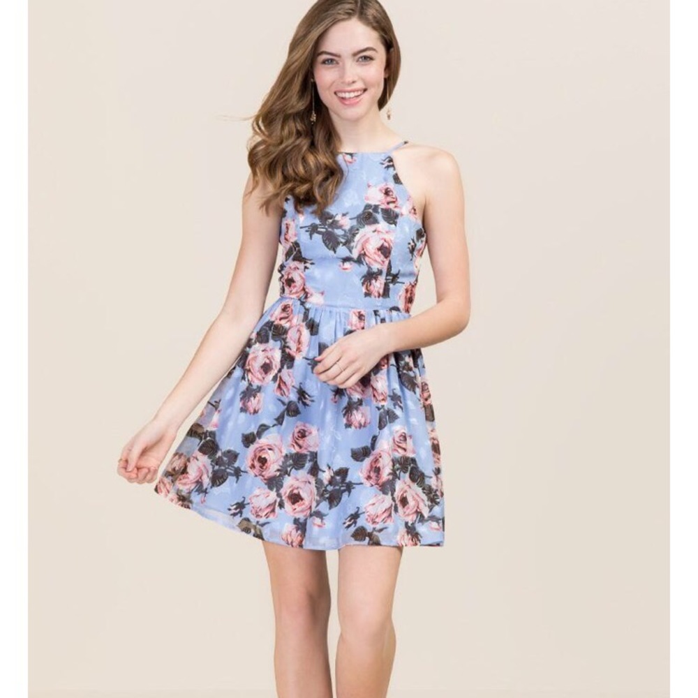 Francesca’s Floral Dress